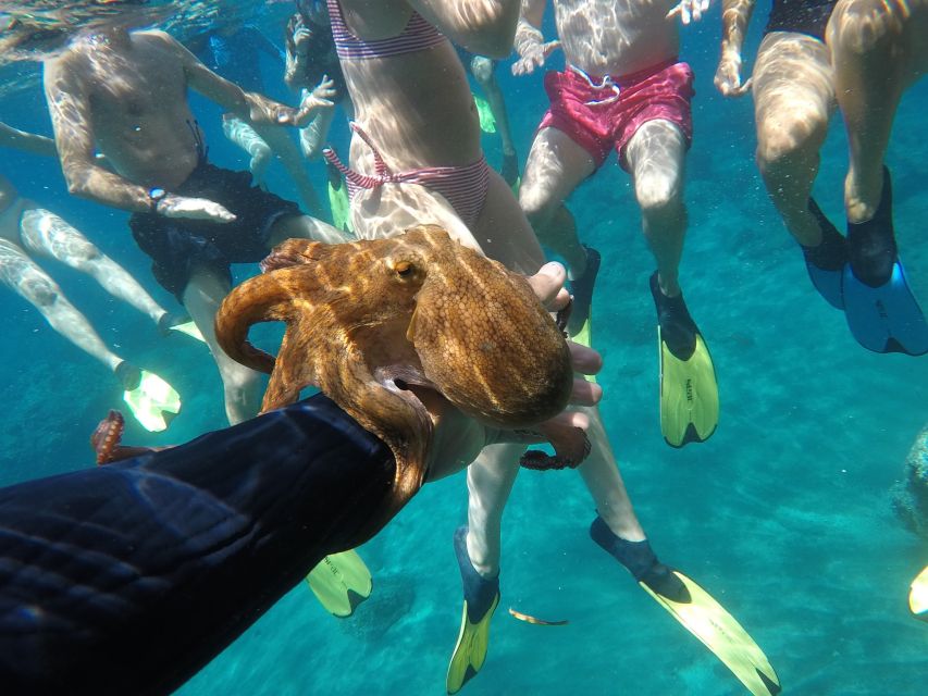 Milos: Half-Day Speedboat Cruise to Klefiko with Snorkeling - Remote snorkeling and underwater photos