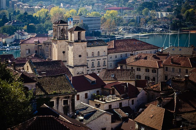 Montenegro Full-Day Trip from Dubrovnik with Optional Boat Trip - Big coach or small group?