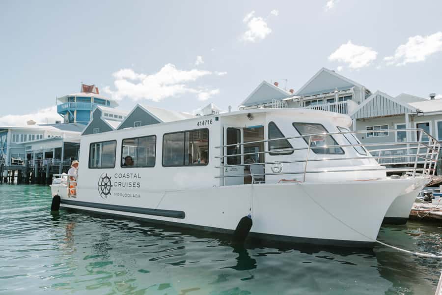 Mooloolaba: Seafood Lunch Cruise - Key points at a glance