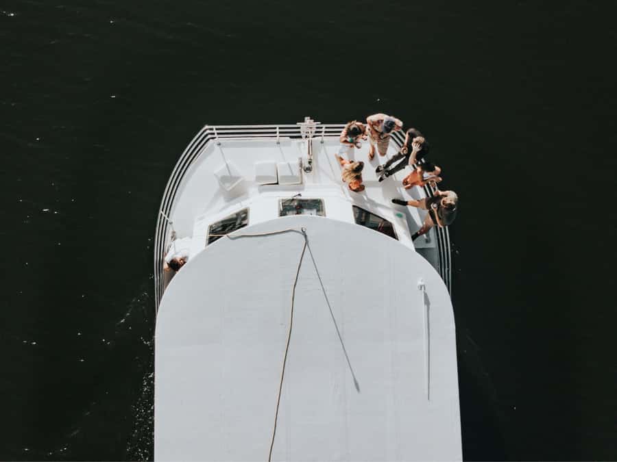 Mooloolaba: Seafood Lunch Cruise - Mooloolaba’s canals, homes, and boats