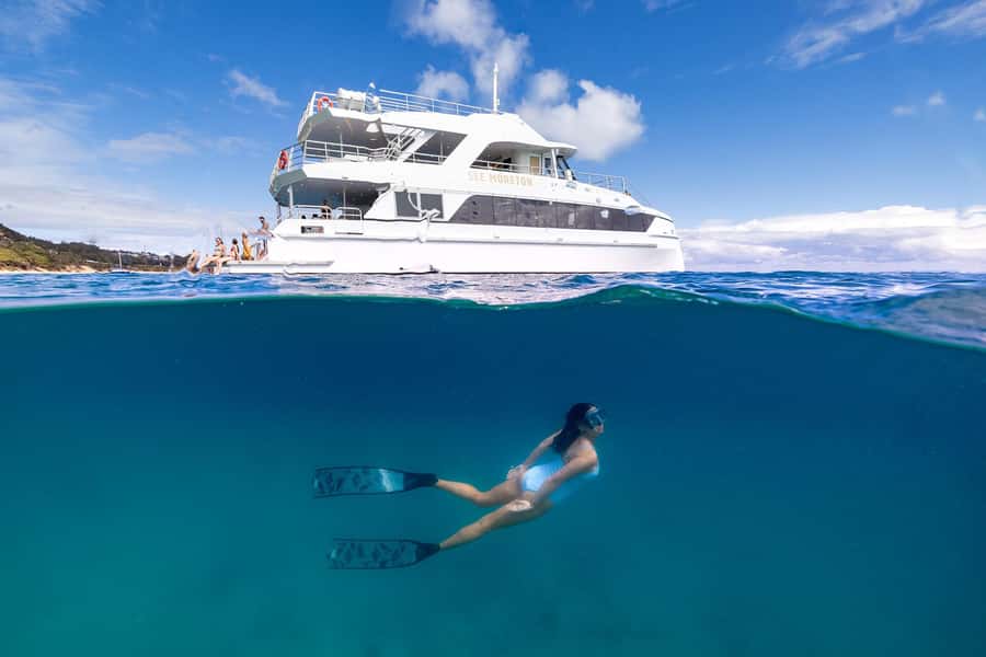 Moreton Island: Dolphin & Tangalooma Wrecks Snorkel Cruise - How the five hours on Moreton Island work