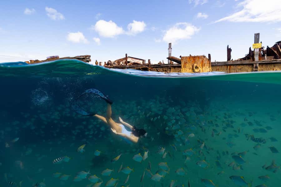 Moreton Island: Dolphin & Tangalooma Wrecks Snorkel Cruise - Is this Moreton Island cruise good value?