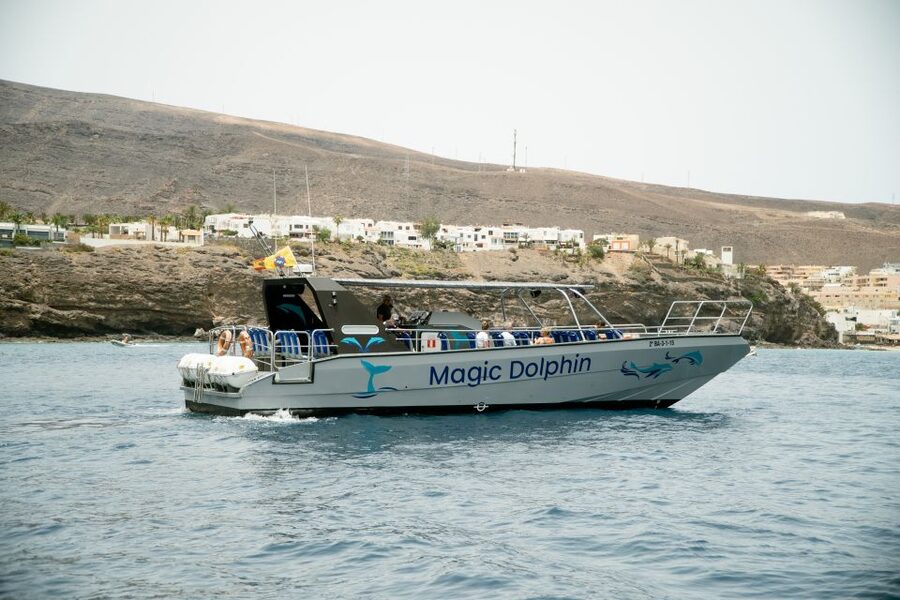 Morro Jable: Dolphin & Whale Watching Cruise, Drinks & Swim - The Jandía swim stop