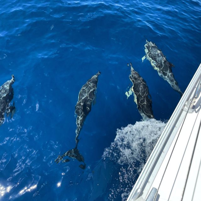 Morro Jable: Sailing Boat Excursion with Food and Drinks - Key points to know before you book
