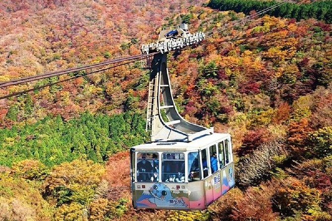 Mt Fuji & Hakone Cruise, Drum Show Bullet Train 1 Day from Tokyo - Lunch, Japanese drums, and the practical choice