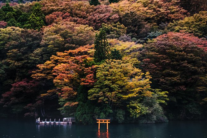 Mt Fuji & Hakone Cruise, Drum Show Bullet Train 1 Day from Tokyo - What the bullet train adds