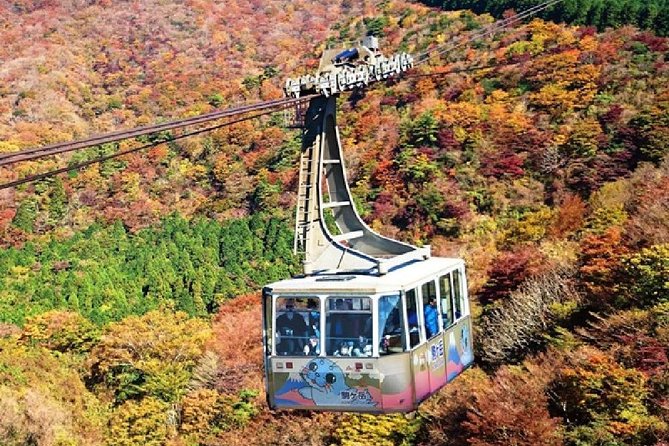 Mt Fuji & Hakone Cruise, Drum Show Bus 1 Day from Tokyo - Cruising volcanic Lake Ashi