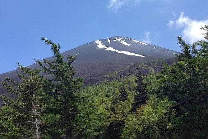 Mt Fuji & Hakone Cruise, Drum Show Bus 1 Day from Tokyo - Riding the Komagatake Ropeway