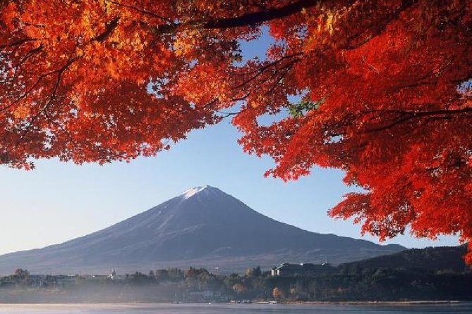 Mt Fuji & Hakone Cruise, Drum Show Bus 1 Day from Tokyo - How to make the day go better