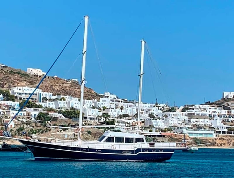 Mykonos: Delos and Rhenia Islands Cruise with BBQ Meal - Leaving Mykonos from Agios Ioannis