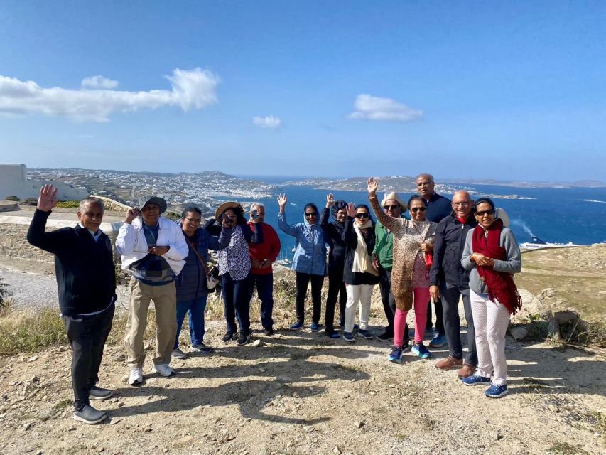 Mykonos: Shore Excursion with Cruise Ship Terminal Pickup - Pace, comfort, and who should skip it