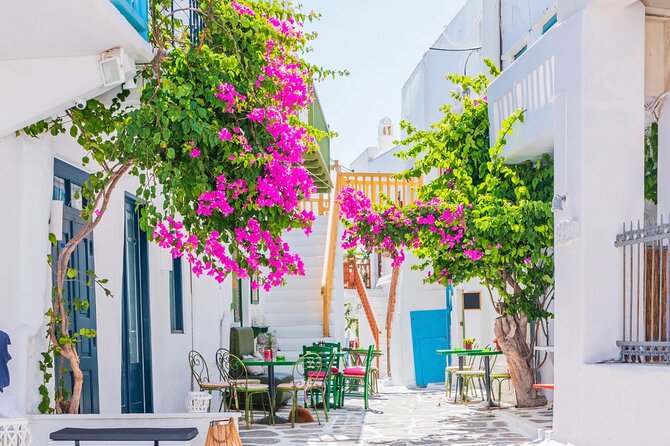 Mykonos: Small Group Tour for Cruise Passengers —Port Pickup - Elia and Kalafatis bring the beach time