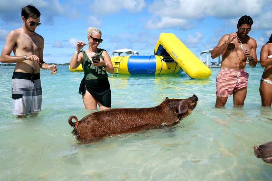 Nassau: Swimming Pigs, Snorkeling, Lunch, & Beach Boat Tour - Key things to know before you book
