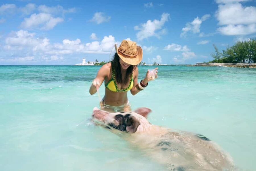 Nassau: Swimming Pigs, Snorkeling, Lunch, & Beach Boat Tour - Meeting the swimming pigs
