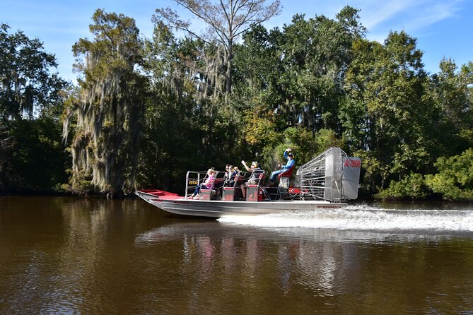 New Orleans Airboat Ride - Finding alligators in the warmer months