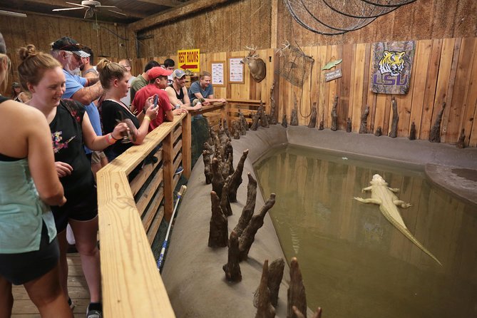 New Orleans Airboat Ride - What the 1 hour and 45 minutes feels like