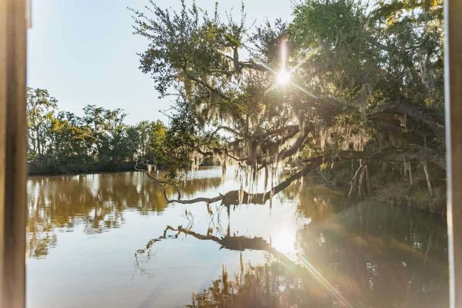 New Orleans: Guided Swamp Cruise by Tour Boat - From French Quarter streets to Barataria water