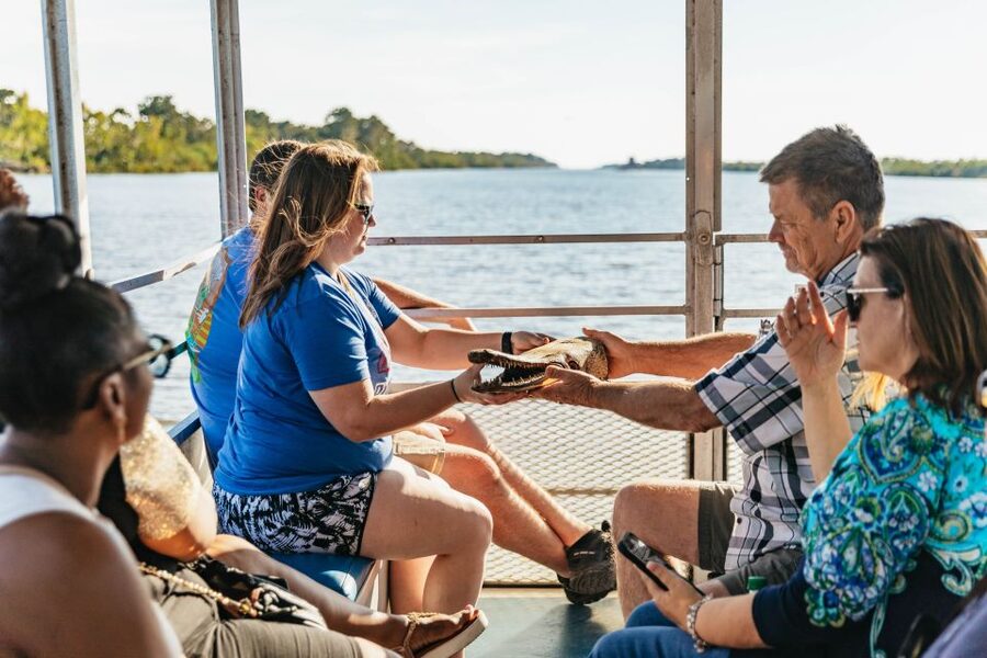 New Orleans: Guided Swamp Cruise by Tour Boat - The swamp as a living classroom