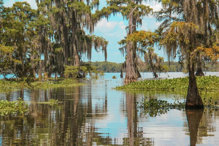 New Orleans: High Speed 9 Passenger Airboat Tour - Booking and practical details