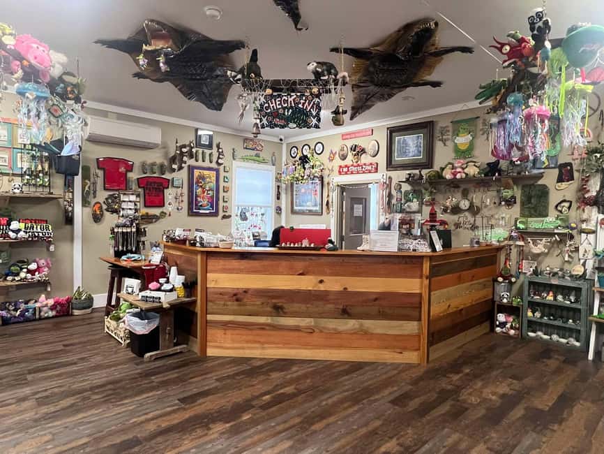 New Orleans Manchac Bayou Swamp Cruise W/ Optional Pick-Up - Alligators, raccoons, and the wildlife question