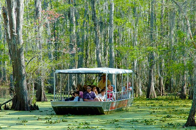New Orleans Swamp and Bayou Boat Tour with Transportation - Learning how people live in the wetlands