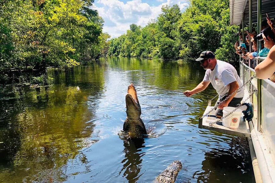 New Orleans: Swamp Boat Ride & Oak Alley Plantation Tour - Two Louisiana worlds in one 450-minute day