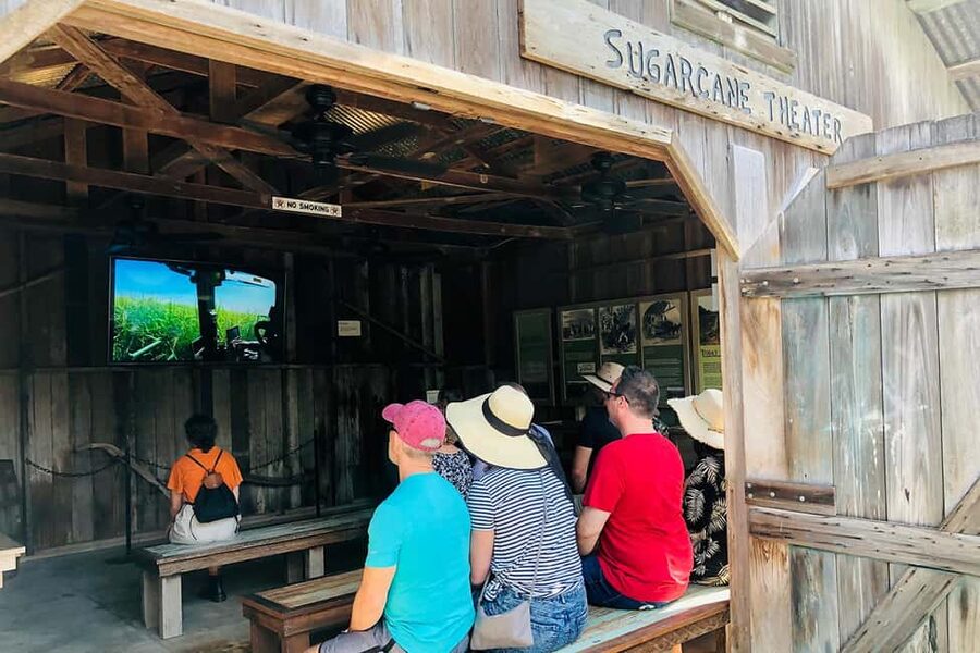 New Orleans: Swamp Boat Ride & Oak Alley Plantation Tour - What the $131 price covers