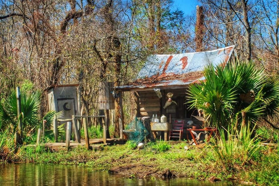 New Orleans: Swamp Boat Ride & Oak Alley Plantation Tour - Timing, comfort, and access