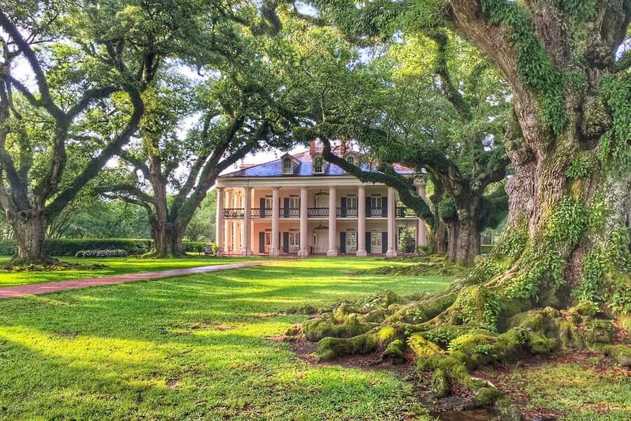 New Orleans: Swamp Boat Ride & Oak Alley Plantation Tour - Oak Alley begins beneath 28 ancient oaks