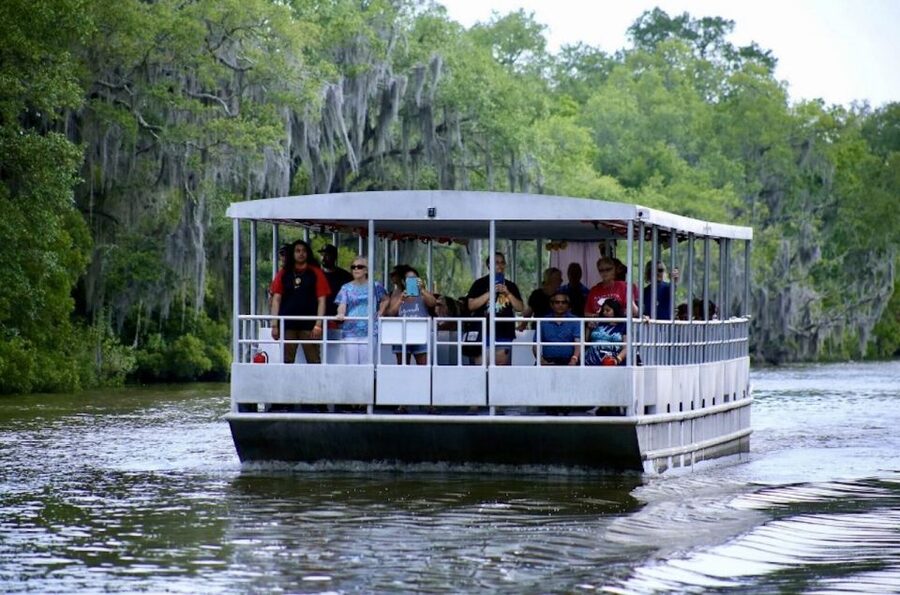 New Orleans: Swamp Tour on Covered Pontoon Boat - Key points to know before you book