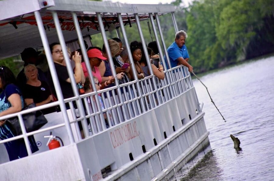 New Orleans: Swamp Tour on Covered Pontoon Boat - When to go and what to wear