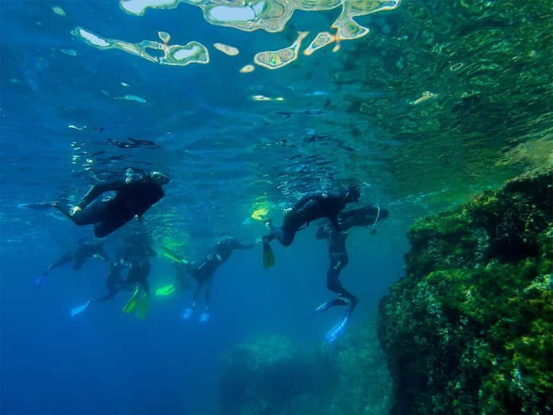 Nice: Snorkeling Speedboat Tour in Villefranche Bay - Key points before you book
