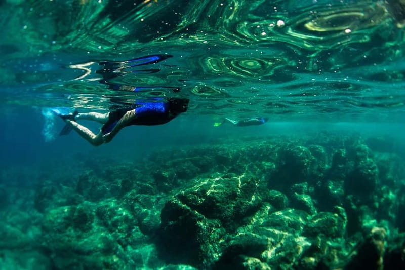 Nice: Snorkeling Speedboat Tour in Villefranche Bay - A quick route from Nice to Villefranche Bay