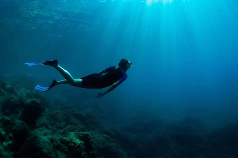 Nice: Snorkeling Speedboat Tour in Villefranche Bay - What you might see beneath the surface
