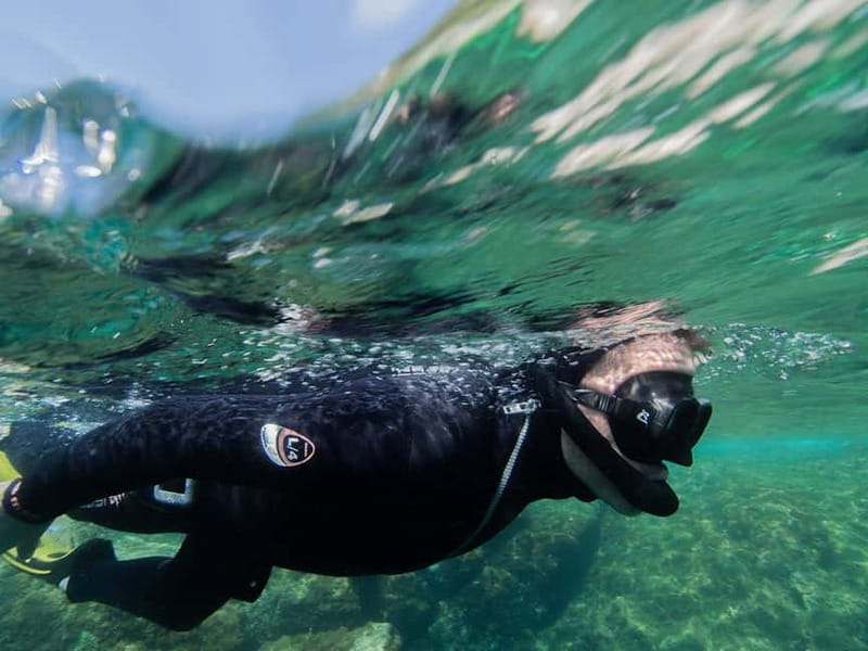 Nice: Snorkeling Speedboat Tour in Villefranche Bay - How the $70 price measures up