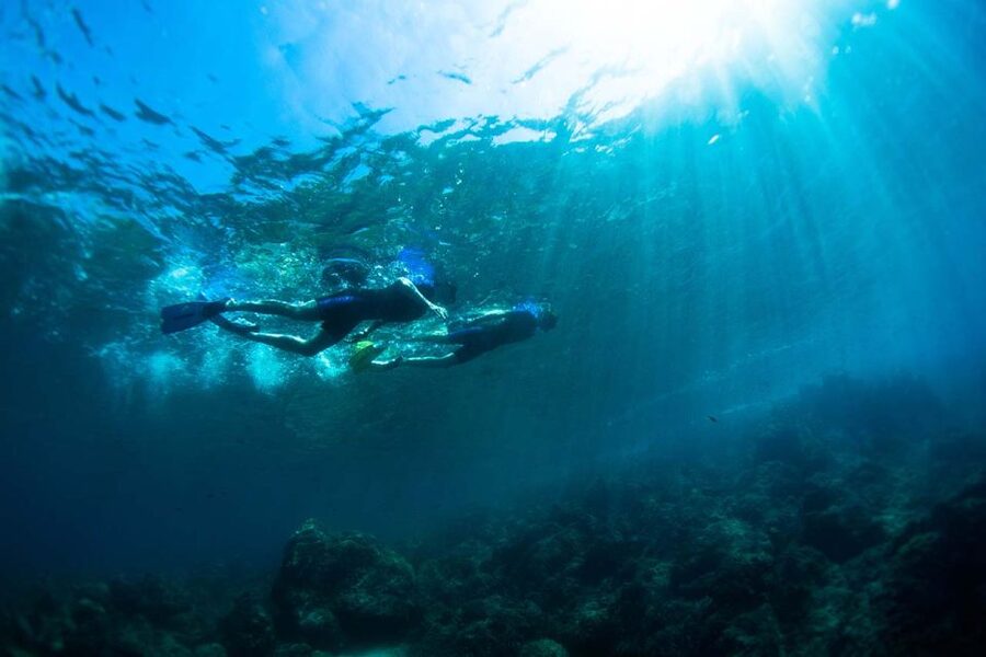 Nice: Snorkeling Speedboat Tour in Villefranche Bay - Practical details that make the day easier