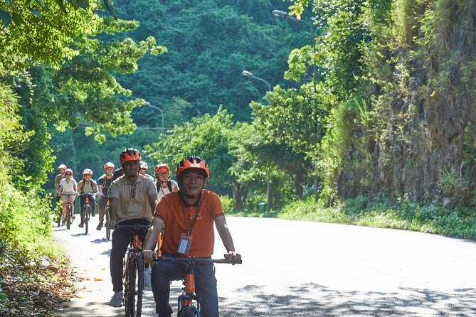 Ninh Binh Day Trip: Hoa Lu-Trang An/Tam Coc-Mua Cave-Cycling-Boat - Who will enjoy this day most