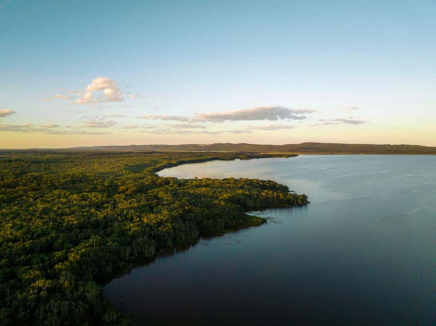Noosa: Afternoon Cruise through the Noosa Everglades - The included drink and the stop ashore