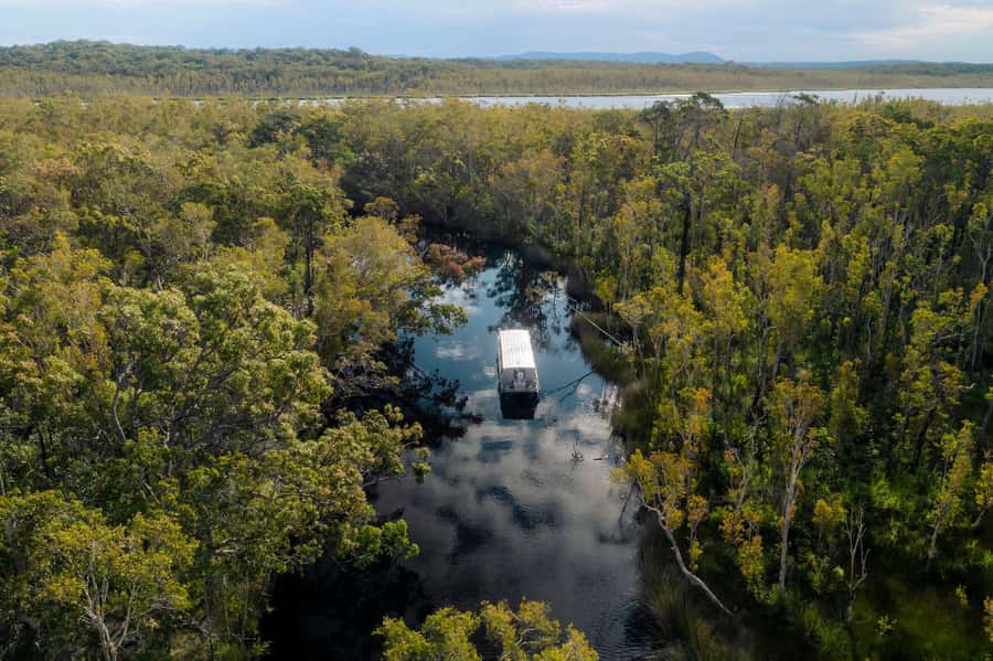 Noosa: Afternoon Cruise through the Noosa Everglades - The ride from Noosa to Habitat Noosa