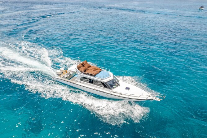 ️Nusa Penida by Private Boat - Snorkeling 4 spots, Swim with Mantas + Land Tour - Is the $100.89 price good value?