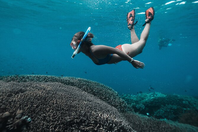 Nusa Penida day trip: boat, 4 snorkeling, Manta rays & Land tour - Sanur at 7:30am, then straight onto the water