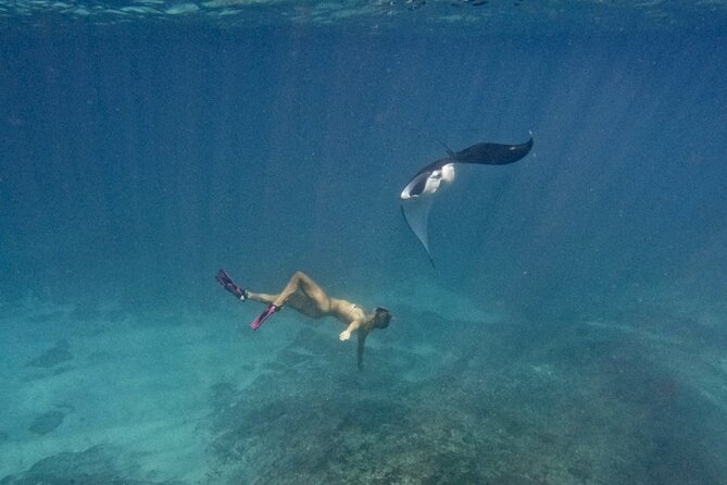 Nusa Penida day trip: boat, 4 snorkeling, Manta rays & Land tour - Mangrove Point gives you a moving start