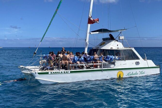 Oahu Catamaran Snorkel Tour: See Turtles 100% Guaranteed - How the crew helps in the water