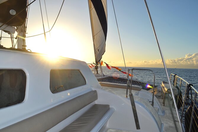 Oahu's Waikiki Coast: Moana’s Sunset Cocktail Sail - Dolphins, Humpback Whales, and What You May See