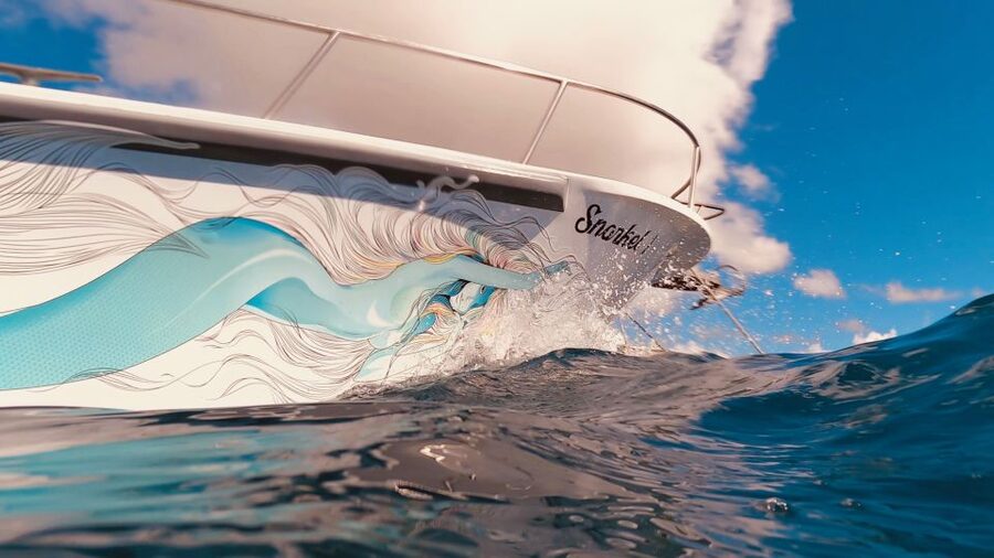 Oahu: Turtle Canyon Snorkeling Boat Tour - Who Will Enjoy This Tour Most?