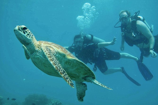 Ocean Freedom Great Barrier Reef Luxury Snorkel and Dive Cruise - How the Crew Shapes the Day