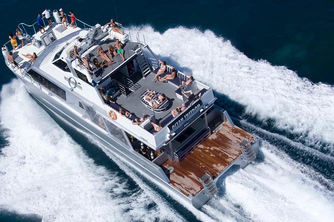 Ocean Freedom Great Barrier Reef Luxury Snorkel and Dive Cruise - Lunch Between Reef Sites