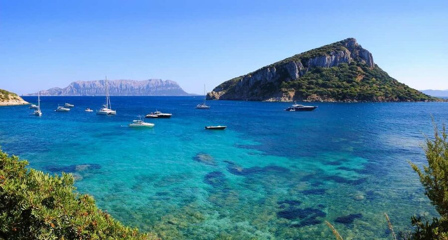 Olbia: Dolphin Watching and Snorkeling Boat Tour - The food and hospitality add value