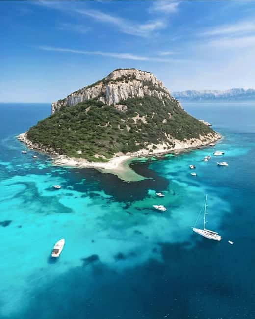 Olbia: Dolphin Watching & Snorkeling Boat Tour near Figarolo - What makes the $77 price reasonable