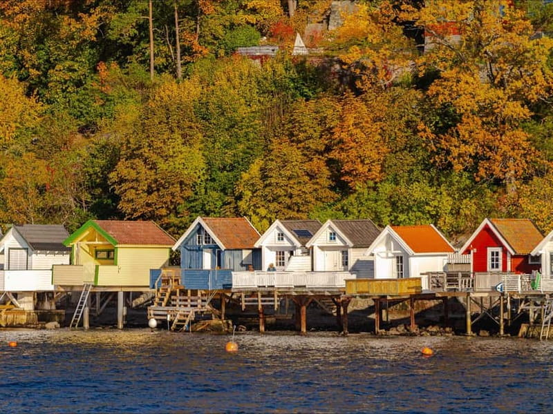 Oslo: Guided Sightseeing Fjord Cruise on Premium Silent Boat - Why a silent boat changes the Oslofjord experience
